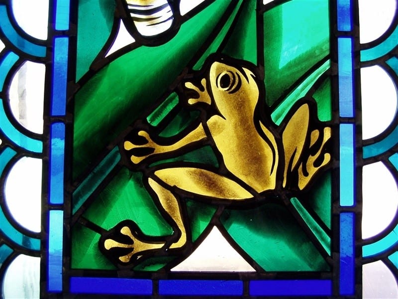 Frog styled stained glass